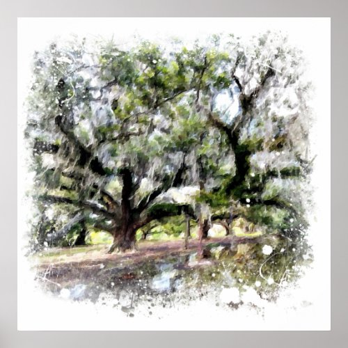  Live Oak New Orleans Living Oaks Art Painting Poster