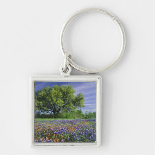 Live Oak & Texas Paintbrush, and Texas Keychain