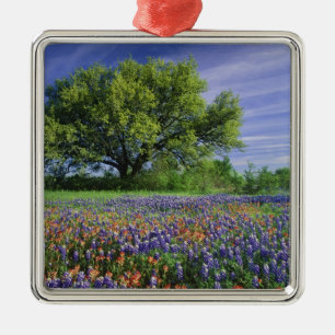 Live Oak & Texas Paintbrush, and Texas Metal Ornament