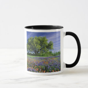 Live Oak & Texas Paintbrush, and Texas Mug