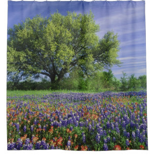 Live Oak & Texas Paintbrush, and Texas Shower Curtain