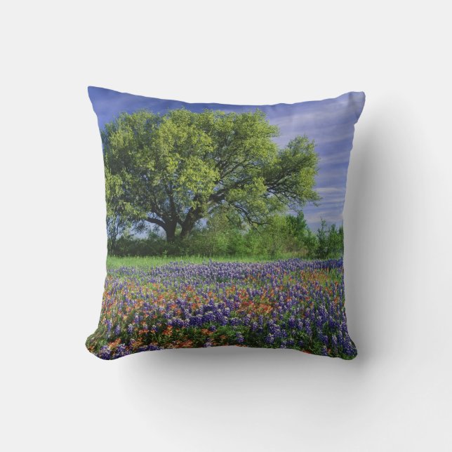 Live Oak & Texas Paintbrush, and Texas Throw Pillow (Front)