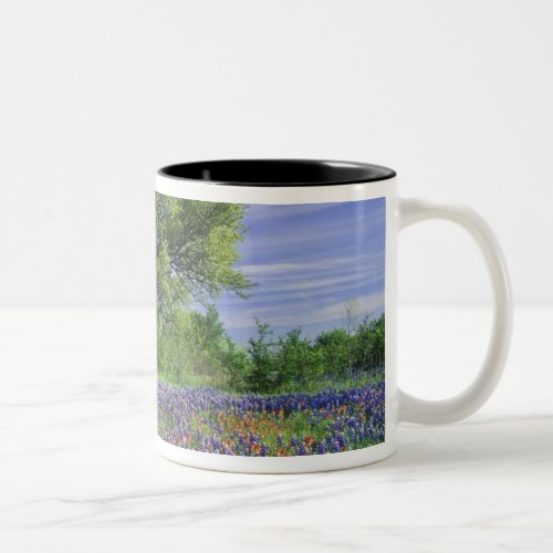 Live Oak  Texas Paintbrush and Texas Two_Tone Coffee Mug