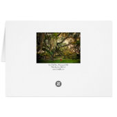 Live Oak Tree in Pascagoula MS Cards (Back Horizontal)