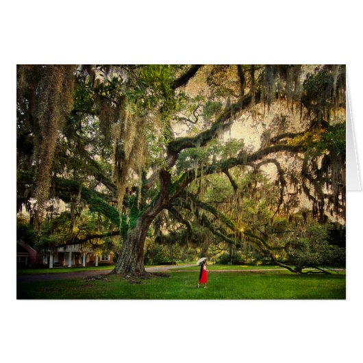 Live Oak Tree in Pascagoula MS Cards (Front Horizontal)