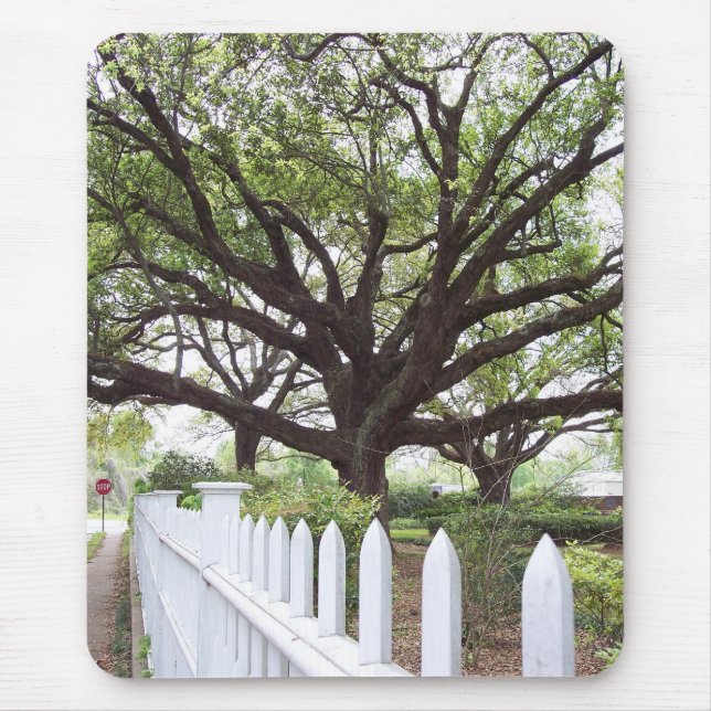 Live Oak Tree, Natchez, MS  Mouse Pad (Front)