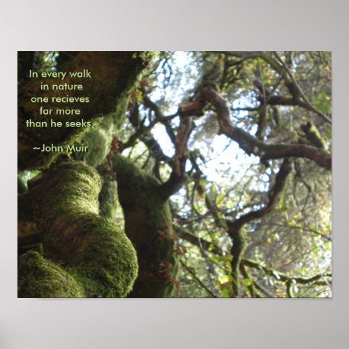 Live Oaks Muir Quote Poster