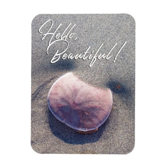 Live Sand Dollar Photo Hello Beautiful Magnet (Vertical)