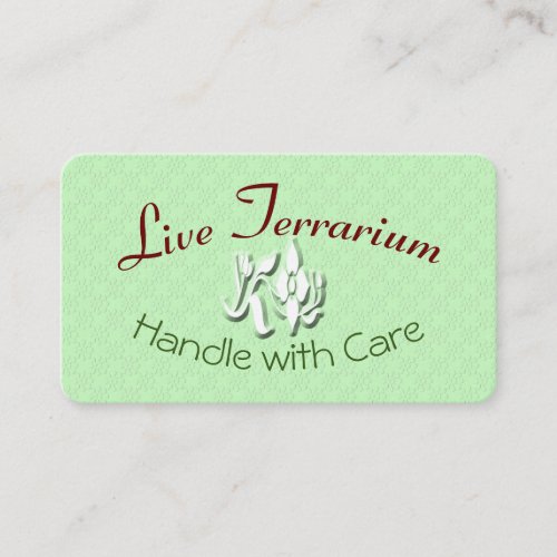 Live Terrarium Care Instructions Card