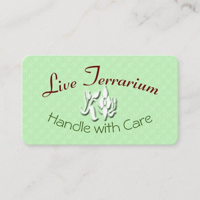 Live Terrarium Care Instructions Card (Front)