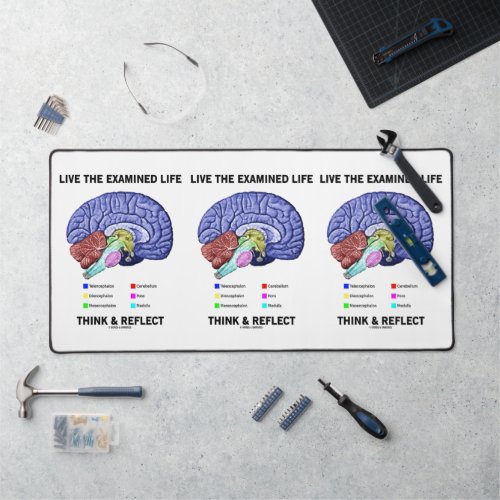 Live The Examined Life Think  Reflect Advice Desk Mat