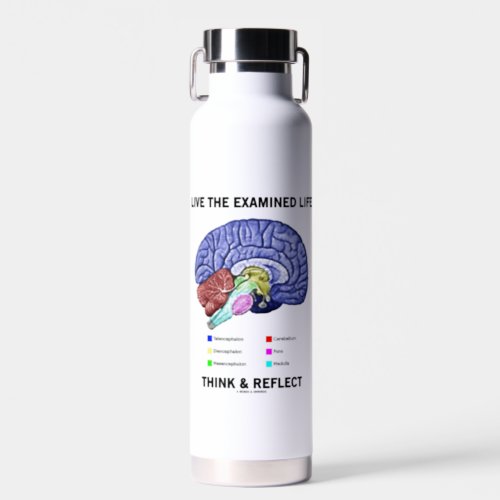 Live The Examined Life Think  Reflect Advice Water Bottle