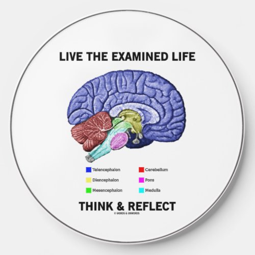 Live The Examined Life Think  Reflect Advice Wireless Charger