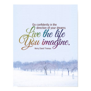 Live The Life You Imagine Motivational Quote Poster