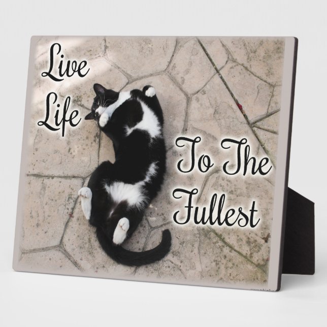 Live To Fullest Cat Motivational Slogan Quote Plaque (Side)