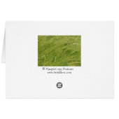 live well... cards (Back Horizontal)