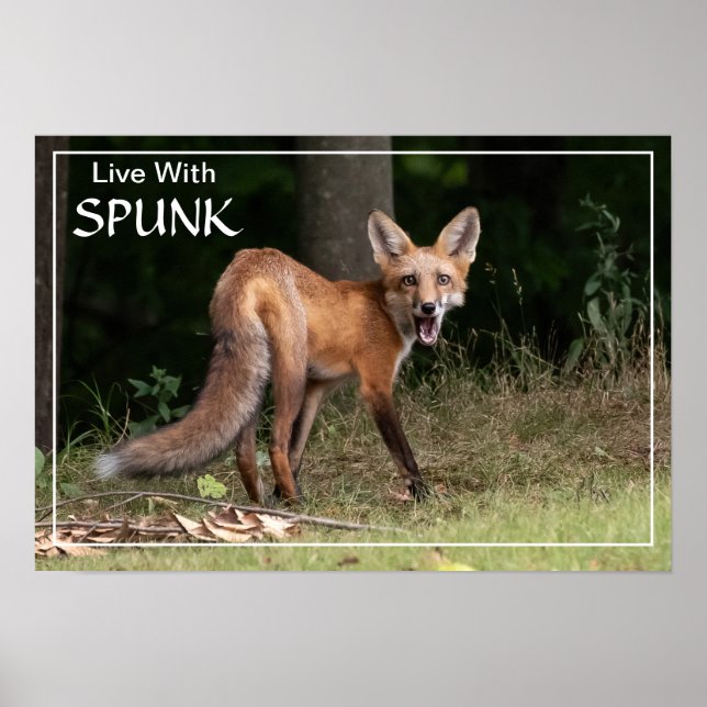 Live With SPUNK Poster (Front)