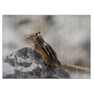 Lively Chipmunk – Canadian Nature Photography Cutting Board