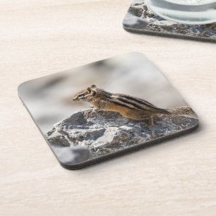 Lively Chipmunk – Forest Animal Artwork Beverage Coaster