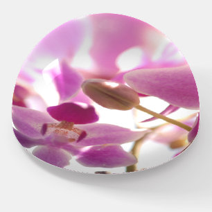Lively Pink Orchid Glass Elegant Floral Paperweight