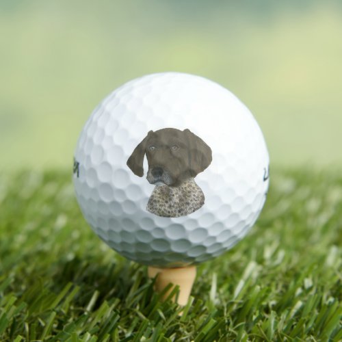 Liver and White German Shorthaired Pointer Golf Balls