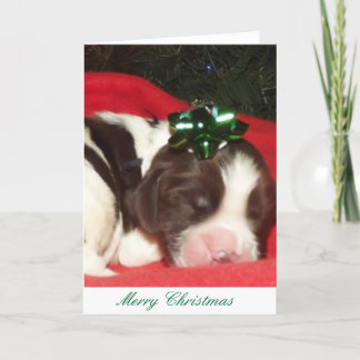 Liver and white sleeping English Springer Spaniel Holiday Card