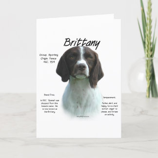 Liver Brittany Spaniel History Holiday Card