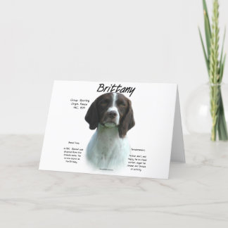 Liver Brittany Spaniel History Holiday Card
