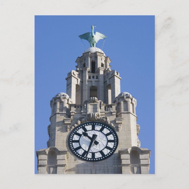 Liver Building, Cunard Building, Liverpool, Postcard (Front)