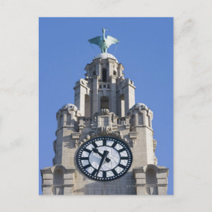Liver Building, Cunard Building, Liverpool, Postcard