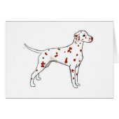 Liver Dalmatian (Front Horizontal)