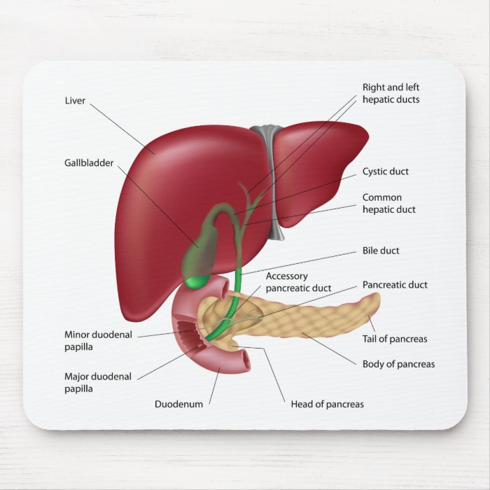 Liver pancreas diagram Mousepad