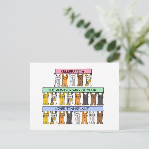 Liver Transplant Anniversary Congratulations Postcard Zazzle