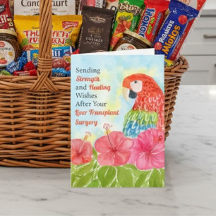 Liver Transplant  Healing Scarlet Macaws, Hibiscus Card