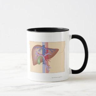 Liver Transplant Procedure Mug