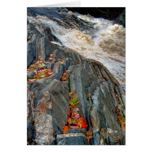 Livermore Leaves: Card (Front)