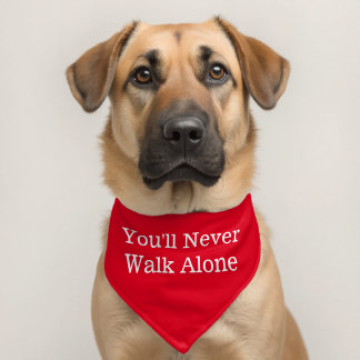 Liverpool You'll never walk alone Pet Bandana Collar