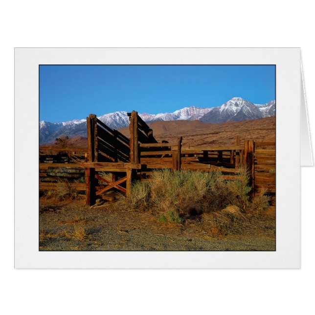 " Livestock Chute " Cards (Front Horizontal)