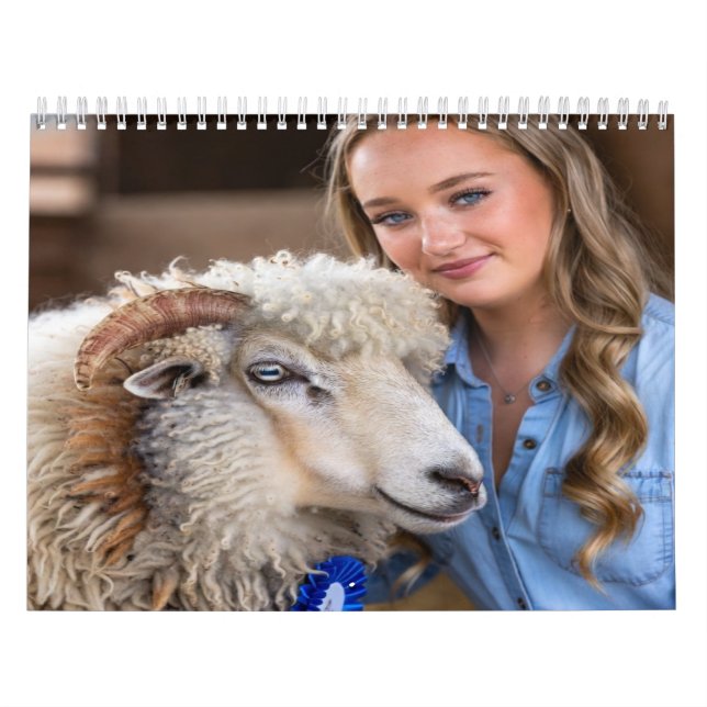 Livestock Show Sheep Photo Customize Calendar (Cover)