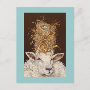 Livin' High on the Sheep postcard
