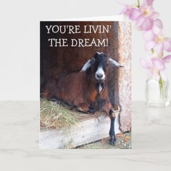 Livin' The Dream Funny Goat Birthday Card by Therupieshop at Zazzle
