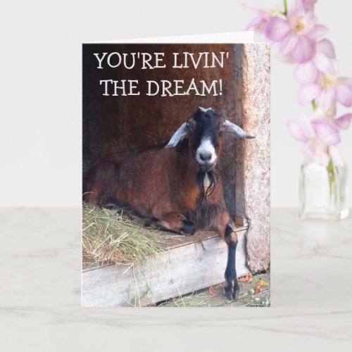 Livin The Dream Funny Goat Birthday Card