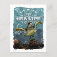Livin' the Sea Life Turtle Postcard