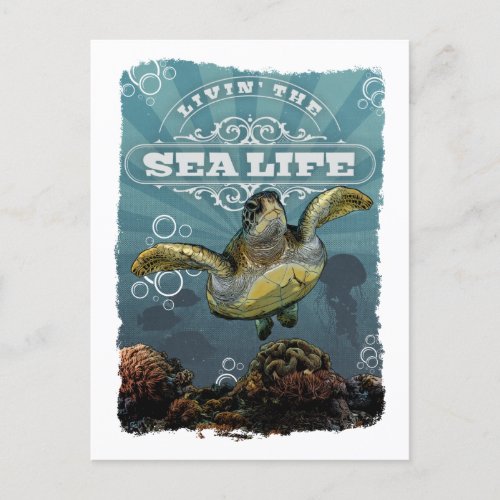 Livin the Sea Life Turtle Postcard