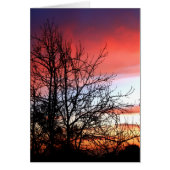 Living Art Tree Silhouette Red Skies Card (Front)