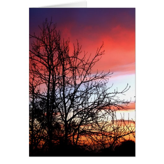 Living Art Tree Silhouette Red Skies Card (Front)