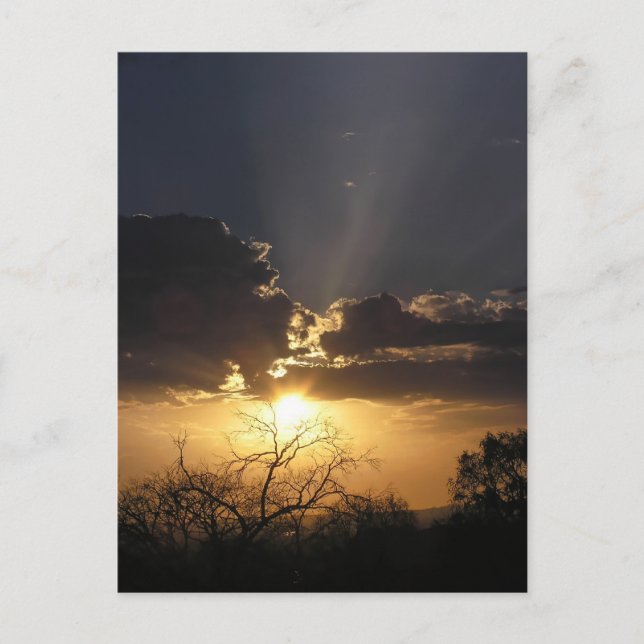 Living Art Views Postcard (Front)