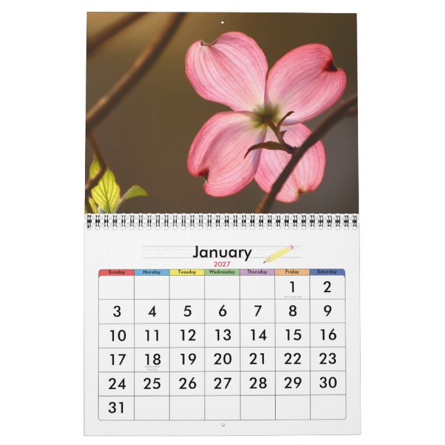 Living Color Calendar (Jan 2027)