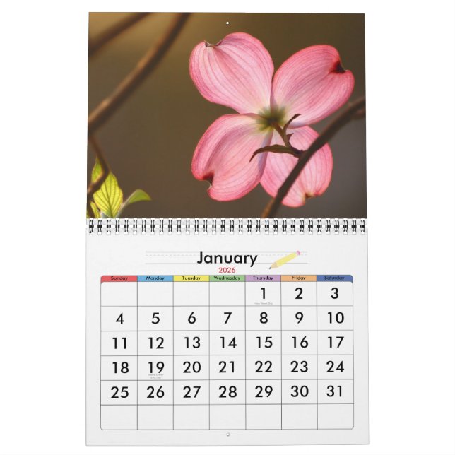 Living Color Calendar (Jan 2026)