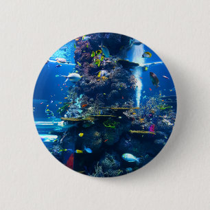 Living Coral Reef with Fish Button